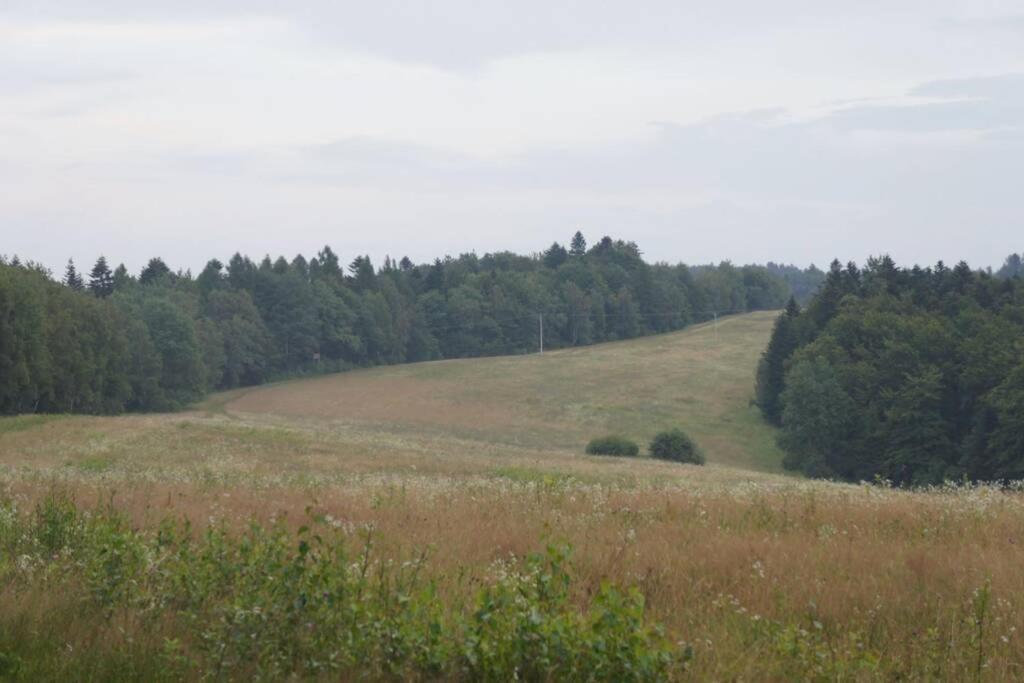 Agroturystyka Ropienka Kültér fotó